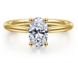 Gabriel & Co Hidden Halo Cathedral Engagement Ring Mounting