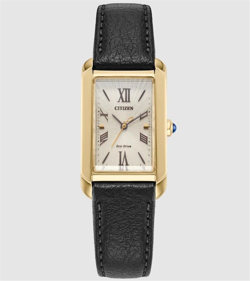 Gold Stainlesssteel Ladies L Bianca Watch Strap/Brac.: Dark Gray Leath