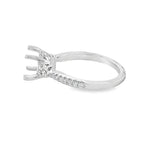 Nelson Lady's White 18 Karat Diamond Cluster Half-Hidden Halo Ring Mounting