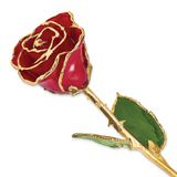 Quality Gold Lacquer Dipped Gold Trimmed Red Real Rose