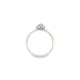 Lady's White 18 Karat Halo Engagement Ring