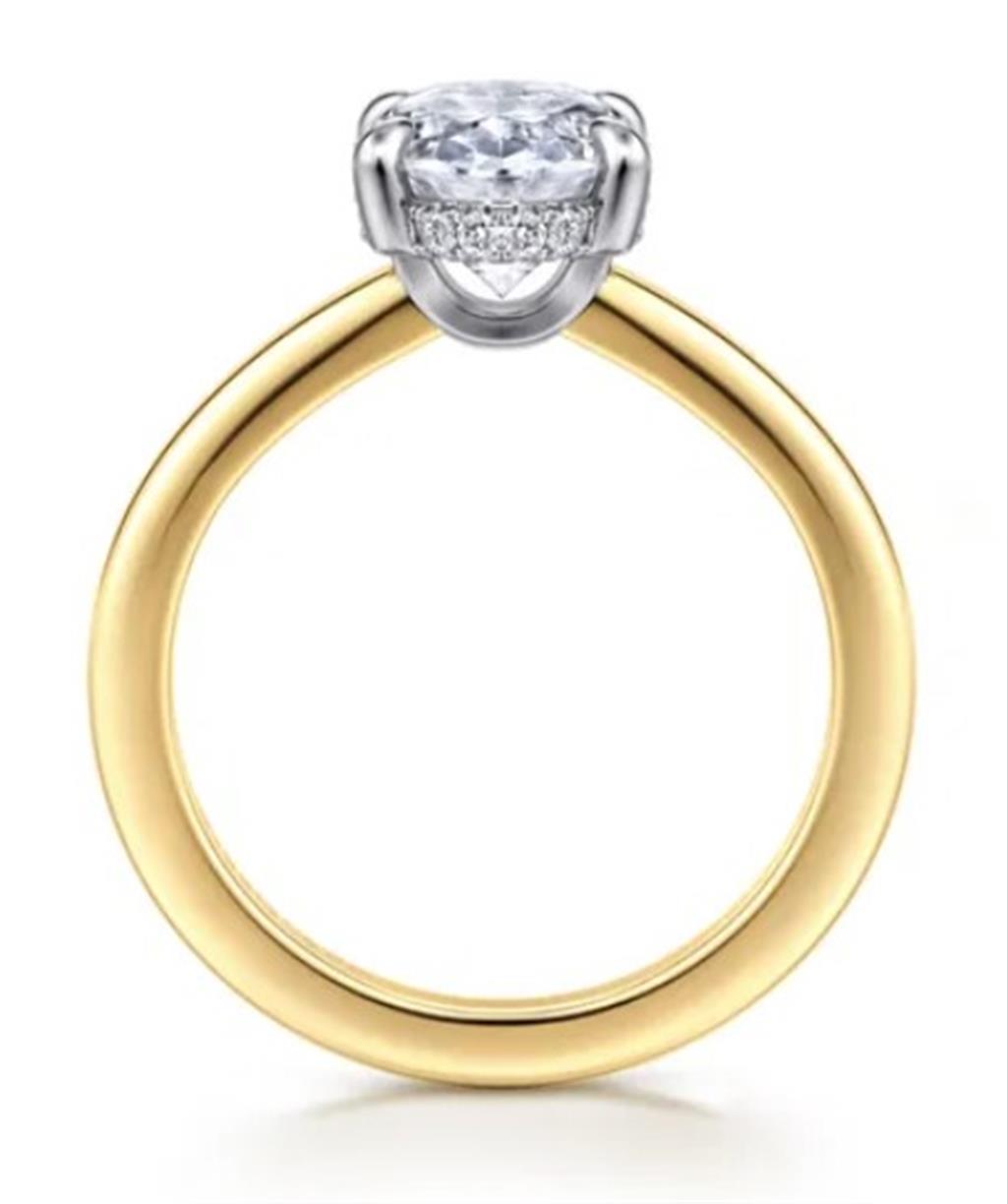 Lady's Two-Tone 14 Karat Hidden Halo Ring Size 6.5 18 = 0.09tw Round G