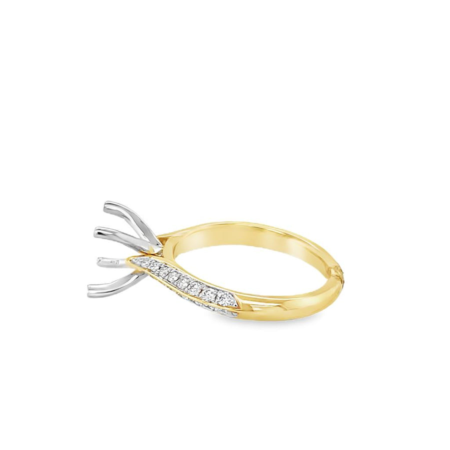 Nelson Lady's Two-Tone Diamond Knife Edge Cathedral Ring Mounting