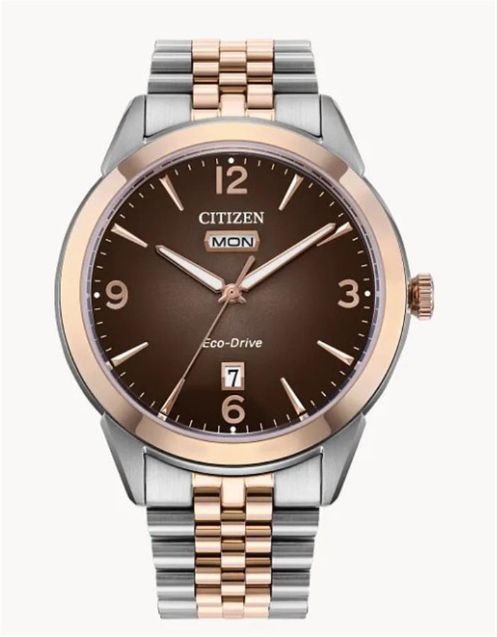 Brown Stainless Steel/Rose Men's "Rolan" Watch Strap/Brac.: Bracelet