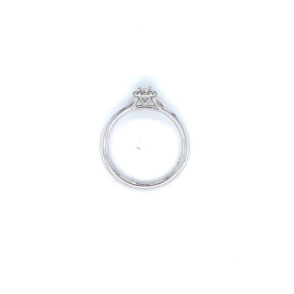 Coast Diamond Small Oval Halo Engagement Ring