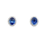 Oval Sapphire Diamond Halo Earrings