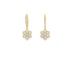 Lady's Yellow Polished 18 Karat Drop Earrings