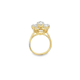 Pear Shape Cluster Diamond Ring
