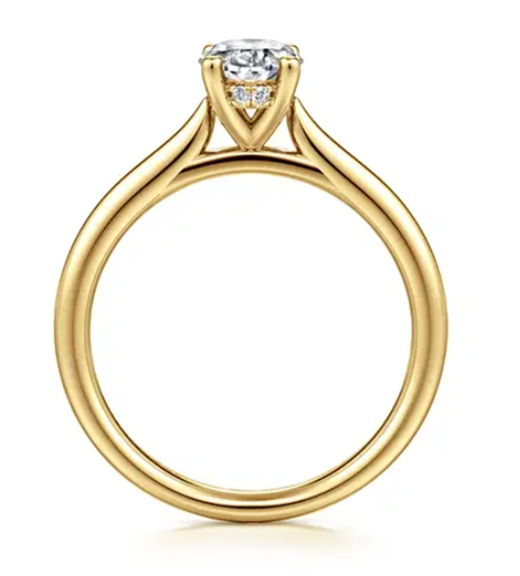 Gabriel & Co Hidden Halo Cathedral Engagement Ring Mounting