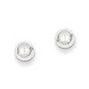 Quality Gold 14k White Gold Polished 5mm Ball Post Earrings