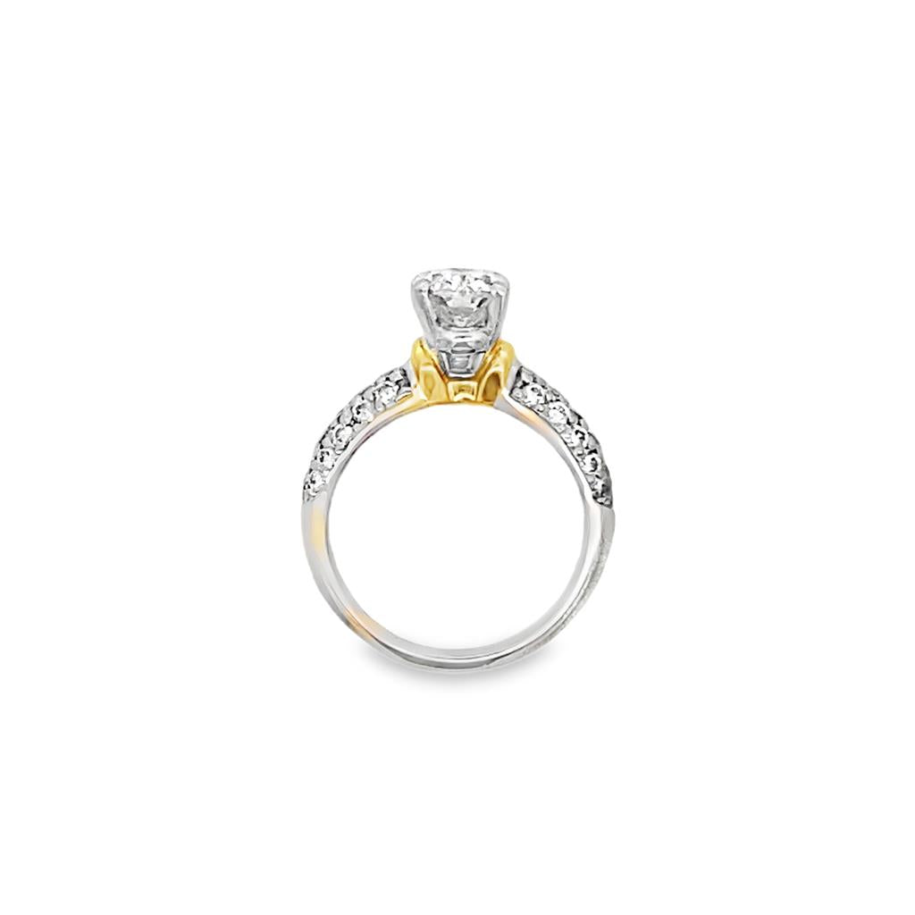 Oval Diamond Engagement Ring with Pave Shank