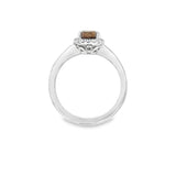 Nelson Lady's White 18 Karat Chocolate Diamond Halo Engagement Ring