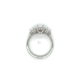 Lady's White 18 Karat Three Stone Halo Ring